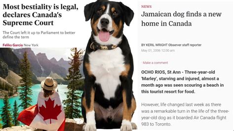 is bestiality legal in canada|No, Canada did not legalize bestiality